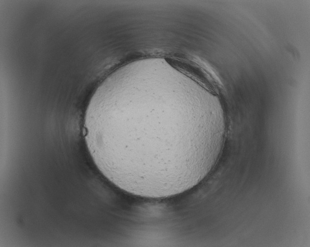 X0000116430065200912291916