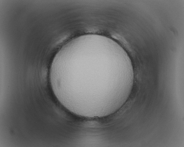 X0000116430066200912291916