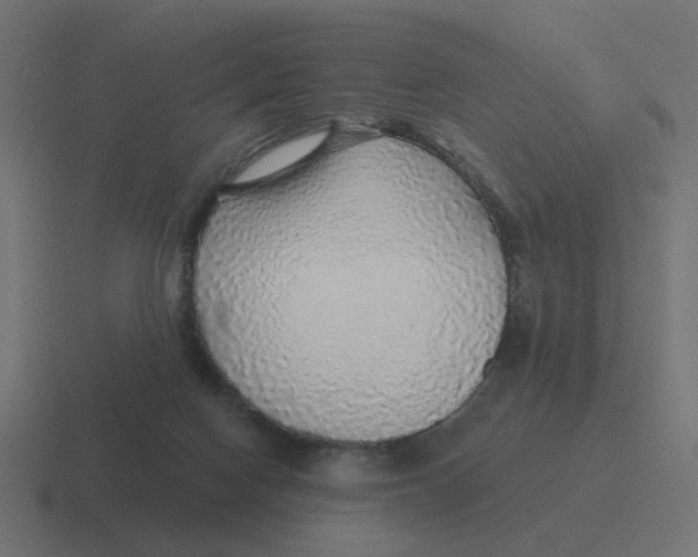 X0000116430074200912291917