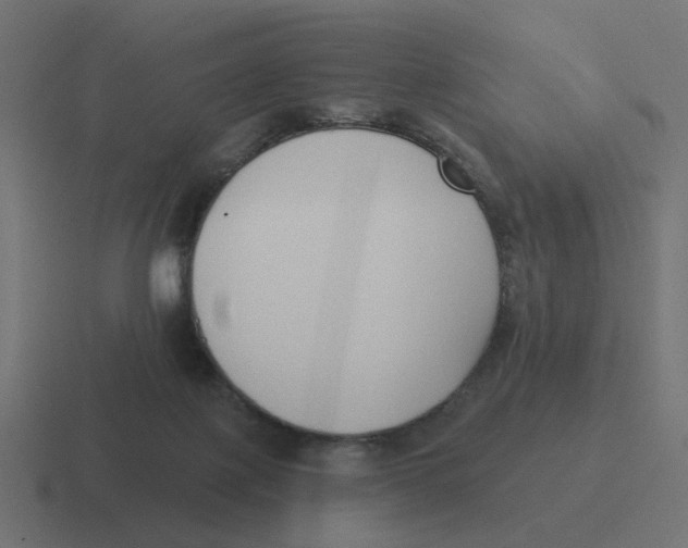 X0000116430075200912291917