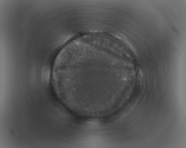 X0000116430076200912291917