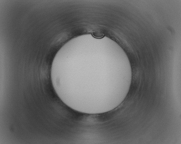 X0000116430078200912291917