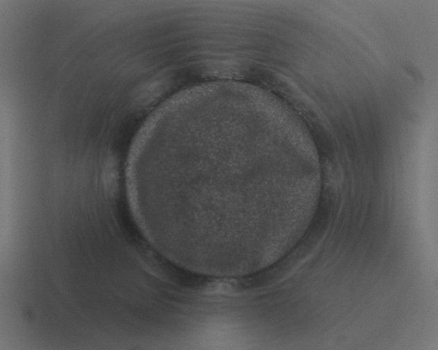 X0000116430080200912291917