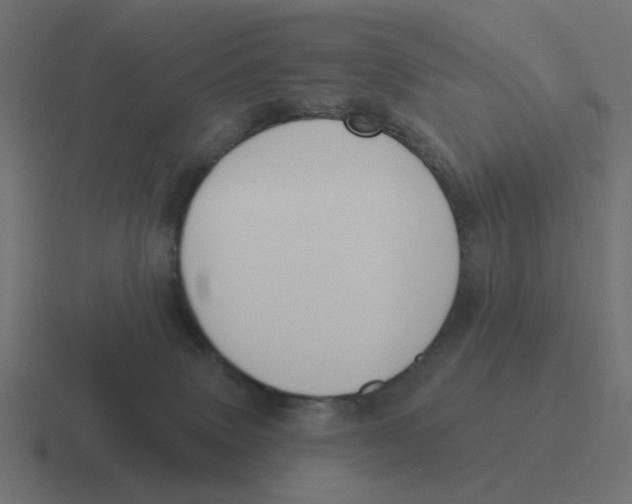 X0000116430083200912291917