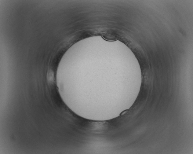 X0000116430089200912291917