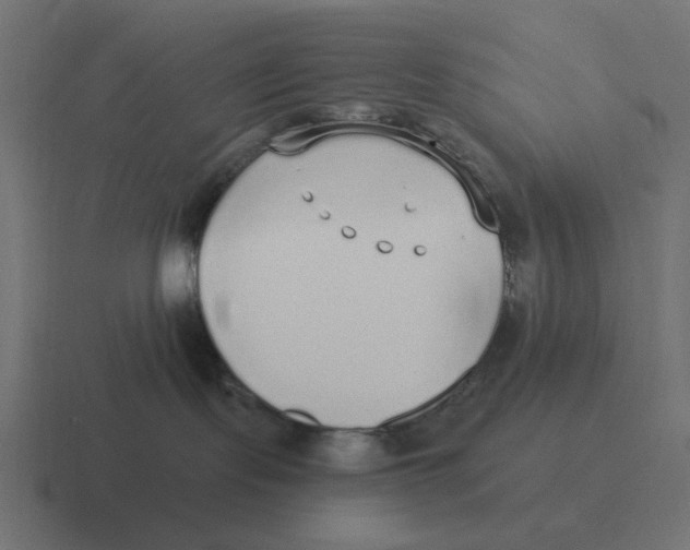 X0000116430095200912291917