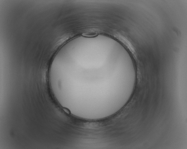 X0000116430105200912291916