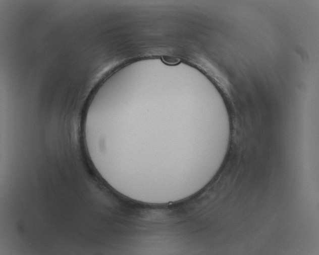 X0000116430107200912291916