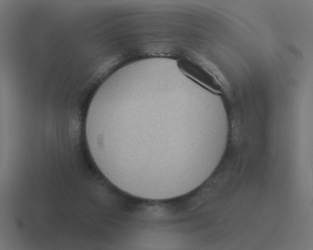X0000116430113200912291916