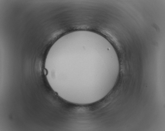 X0000116430115200912291916