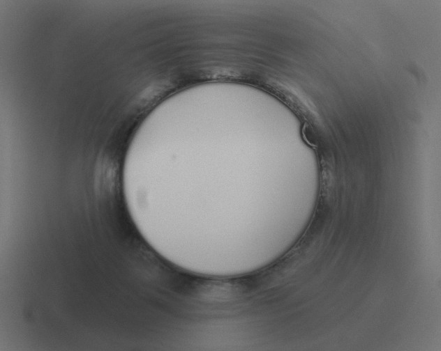 X0000116430123200912291916