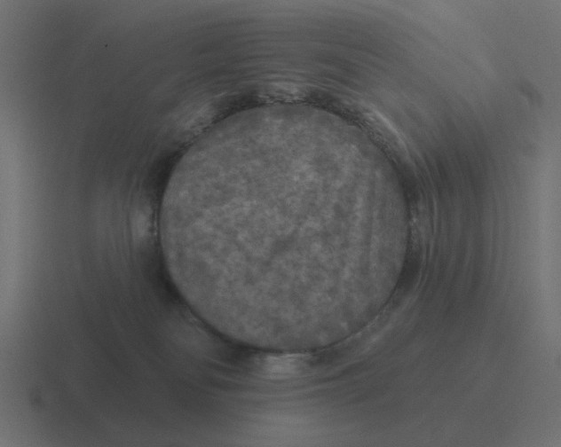 X0000116430134200912291916