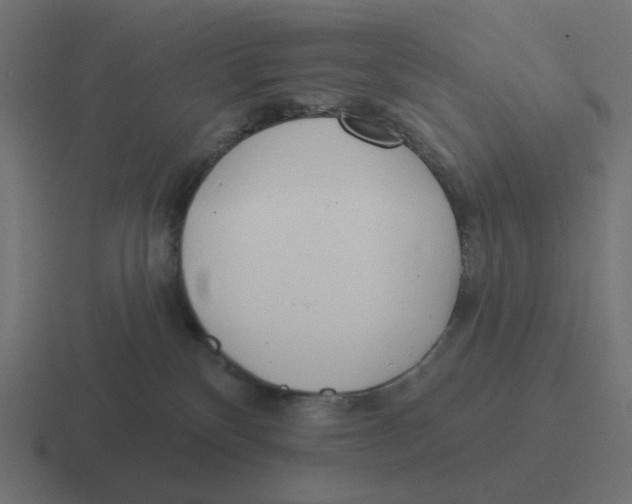 X0000116430136200912291916