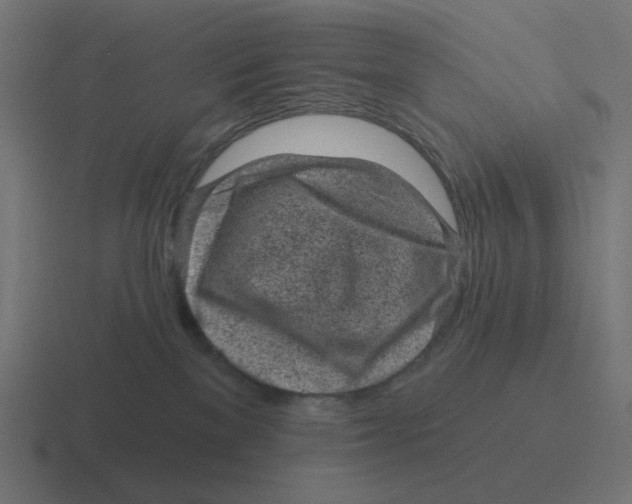 X0000116430137200912291916