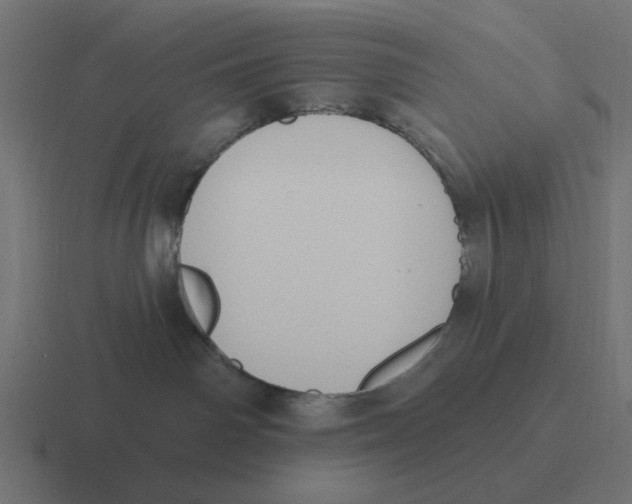 X0000116430142200912291916