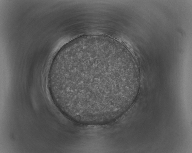 X0000116430145200912291915
