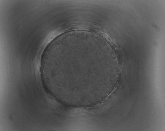 X0000116430146200912291915