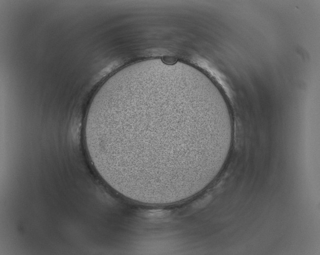 X0000116430153200912291915