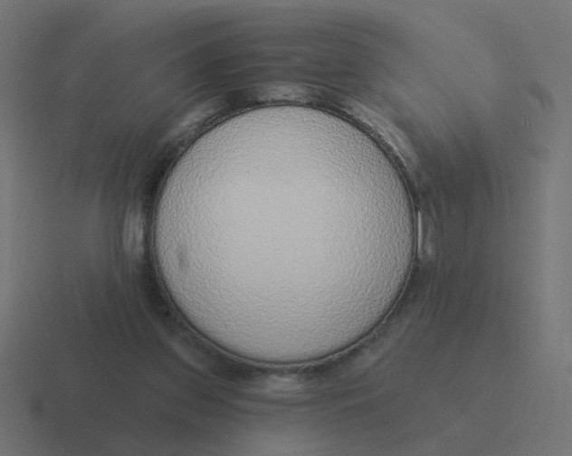 X0000116430157200912291915