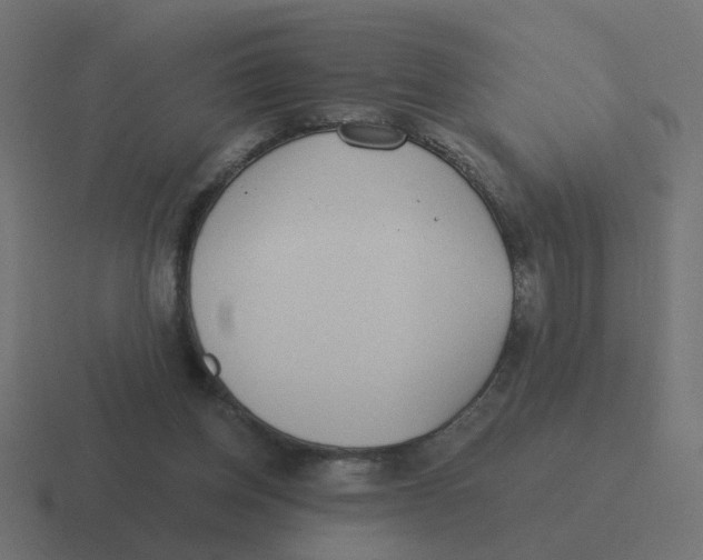 X0000116430158200912291915