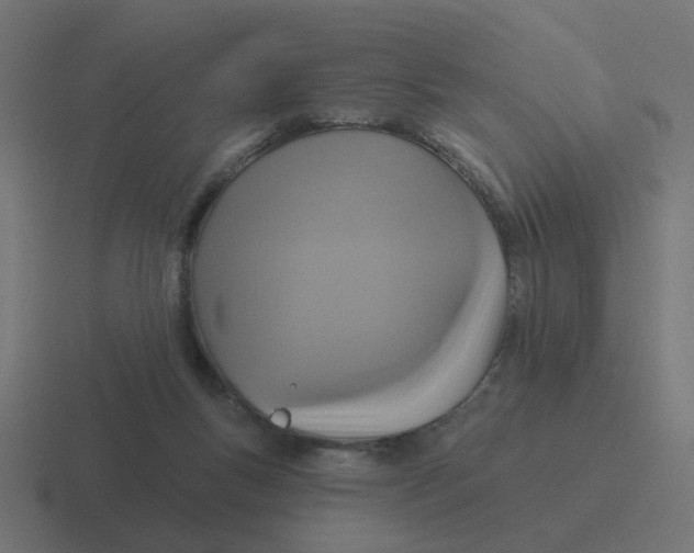 X0000116430167200912291915