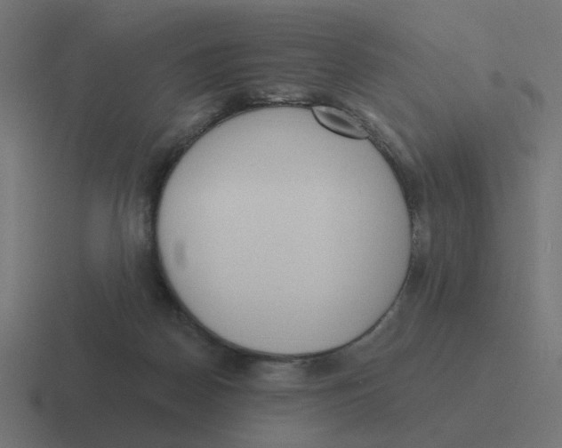 X0000116430170200912291915