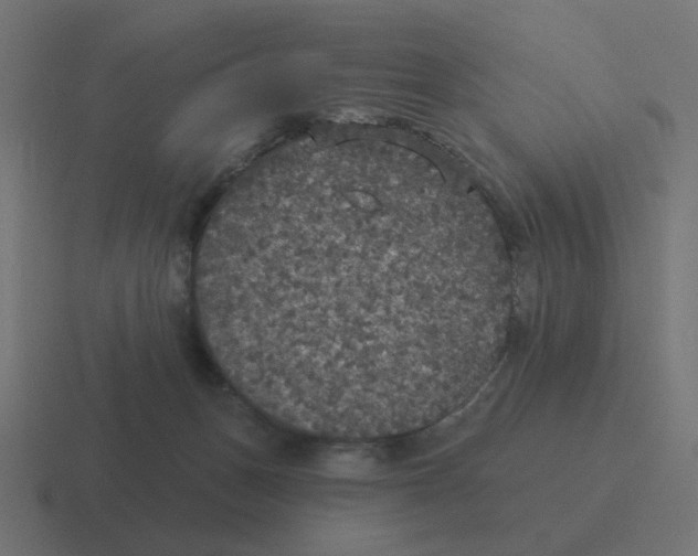 X0000116430175200912291915