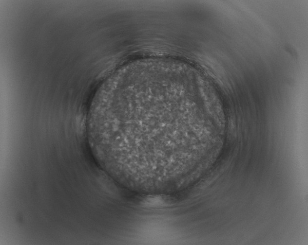 X0000116430177200912291915