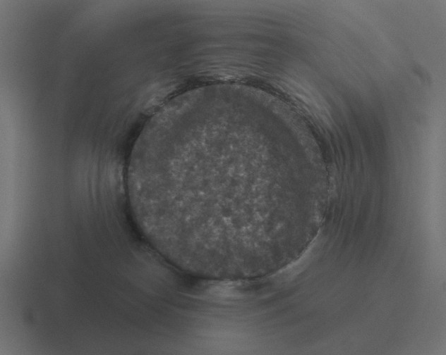 X0000116430182200912291915