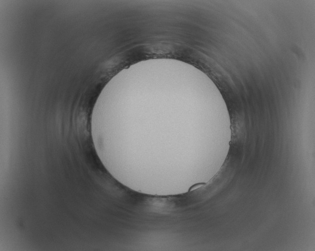 X0000116430187200912291916