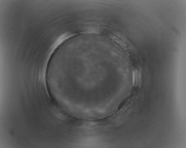 X0000116430195200912291915