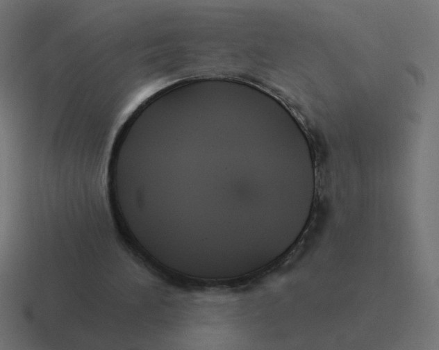 X0000116430196200912291915