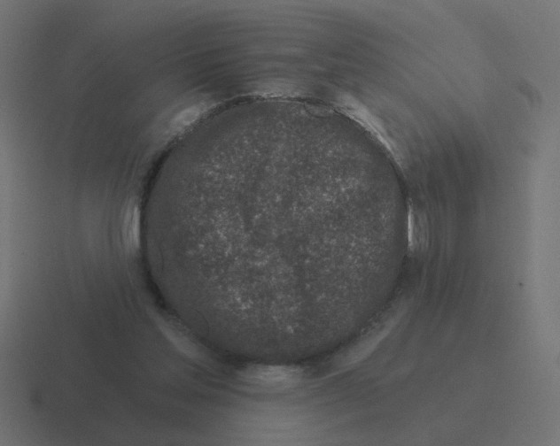 X0000116430205200912291915