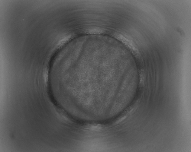 X0000116430206200912291915