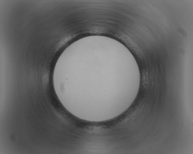 X0000116430208200912291915