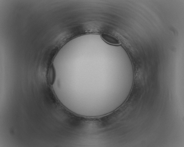 X0000116430209200912291915