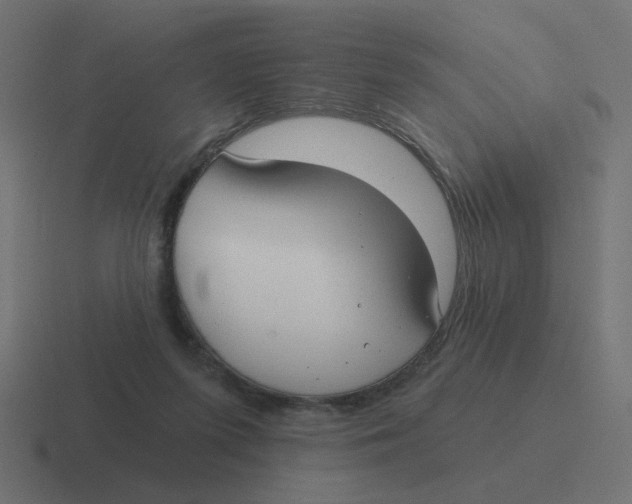 X0000116430215200912291915