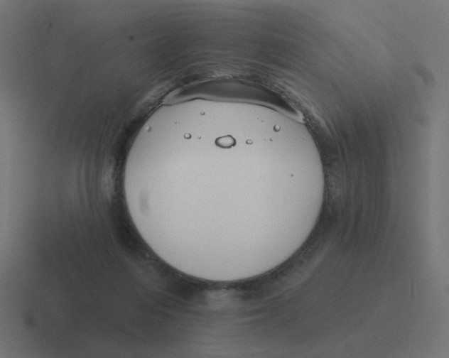 X0000116430216200912291915
