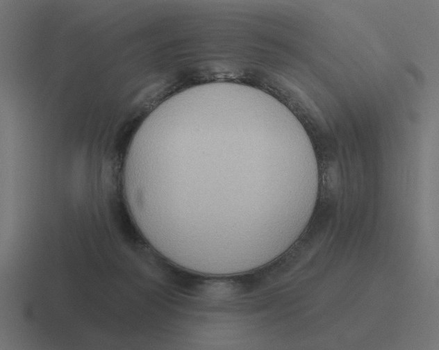 X0000116430218200912291915