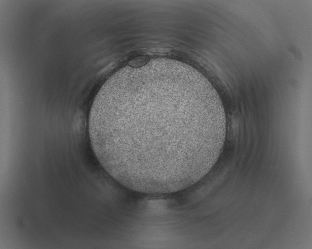 X0000116430228200912291915