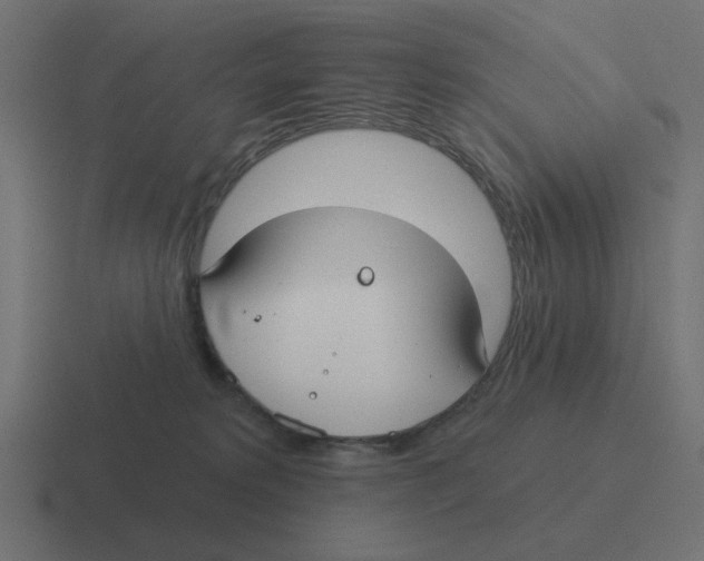 X0000116430229200912291915