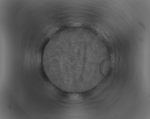 X0000116430230200912291915