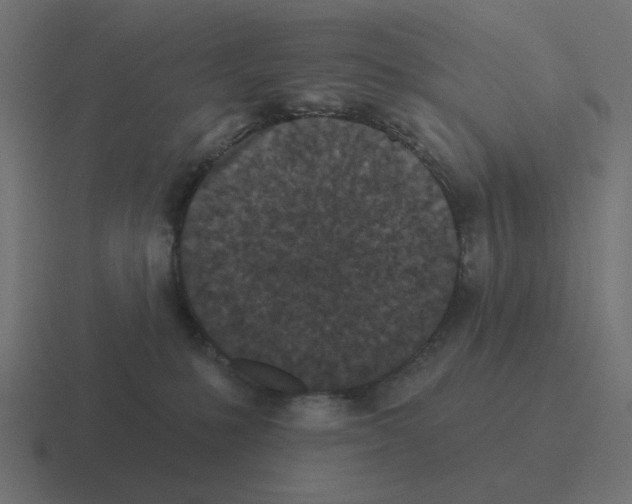 X0000116430231200912291915