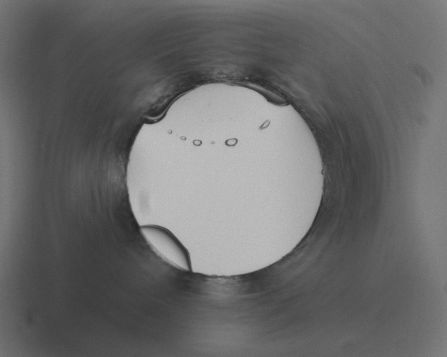 X0000116430240200912291914