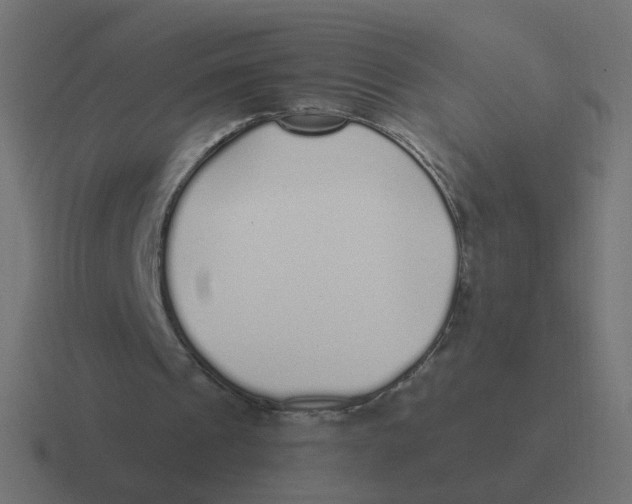 X0000116430241200912291914