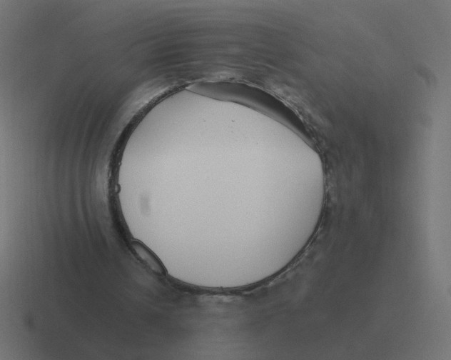 X0000116430242200912291914