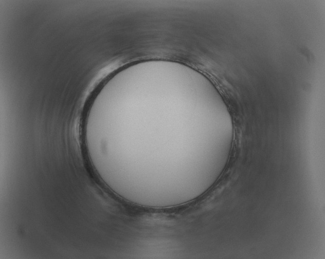 X0000116430244200912291914