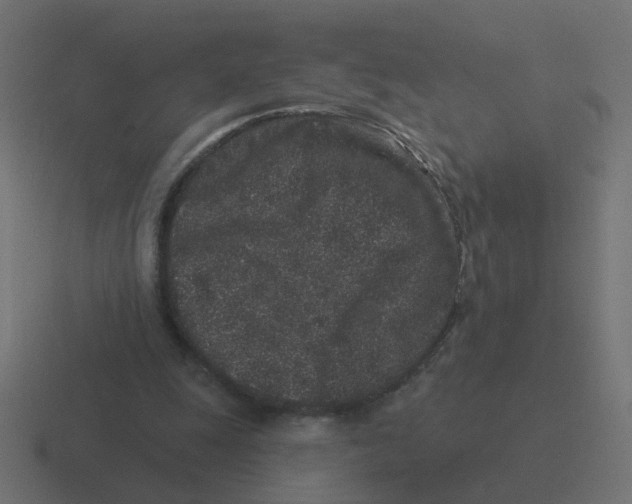 X0000116430247200912291914