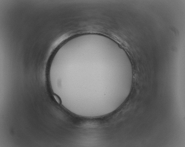 X0000116430248200912291914