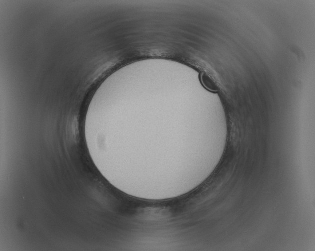 X0000116430251200912291914